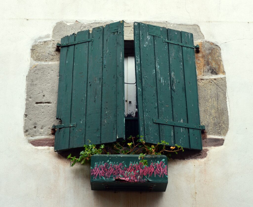 vieux volets en bois vert