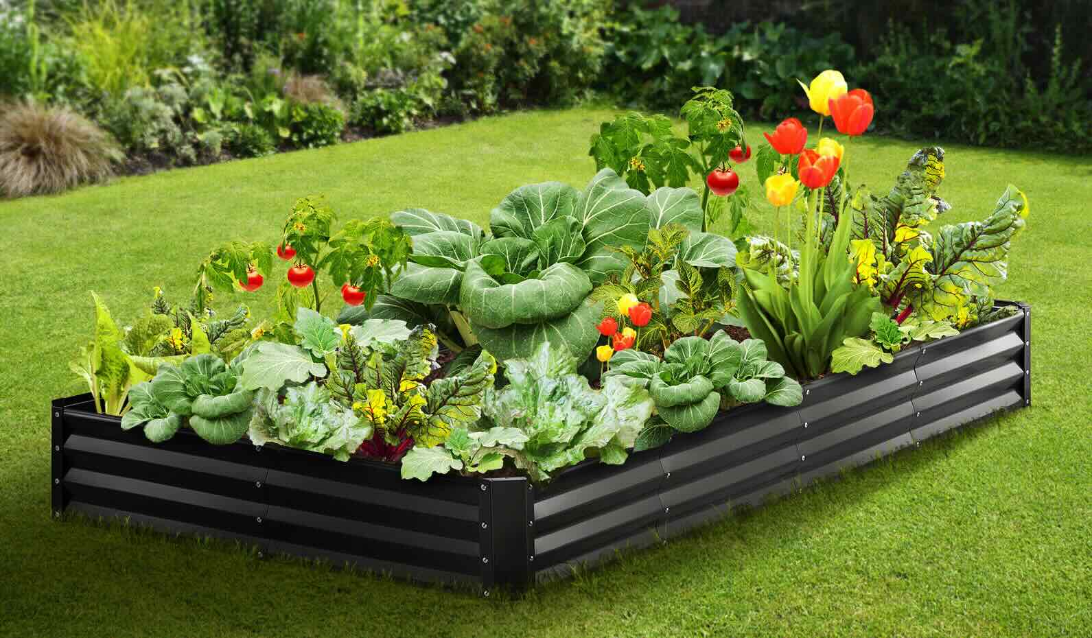 garden