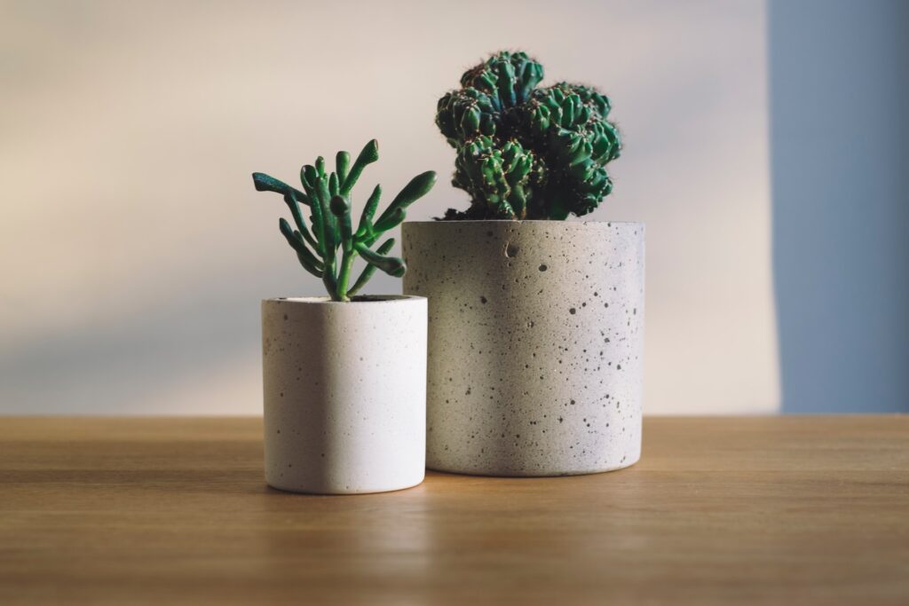 Le pot en béton